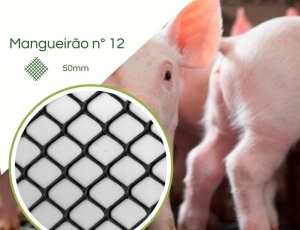 Tela Touro n° 12  para Suíno Mangueirão 