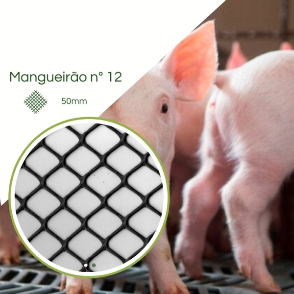 Tela Touro n° 12  para Suíno Mangueirão 
