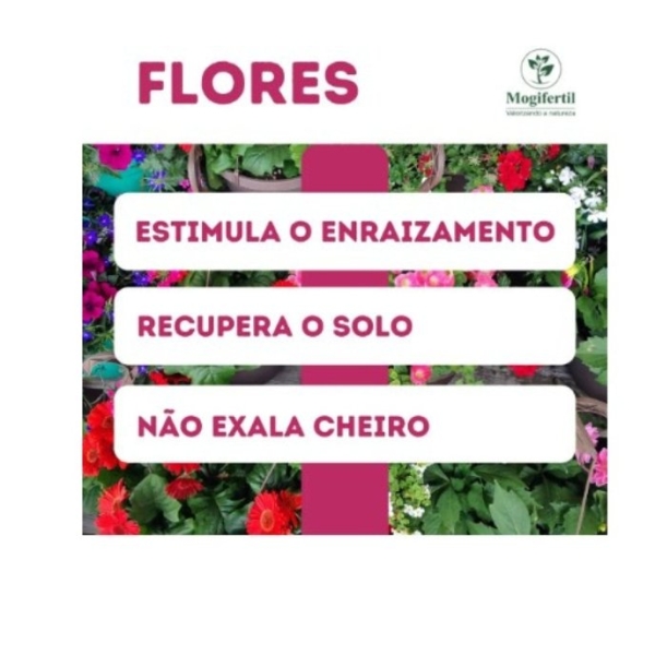 Substrato para flores Orgânico 20 Kilos - MOGIFERTIL