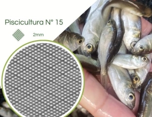 Tela Pisicultura para Criação de Alevinos n° 15