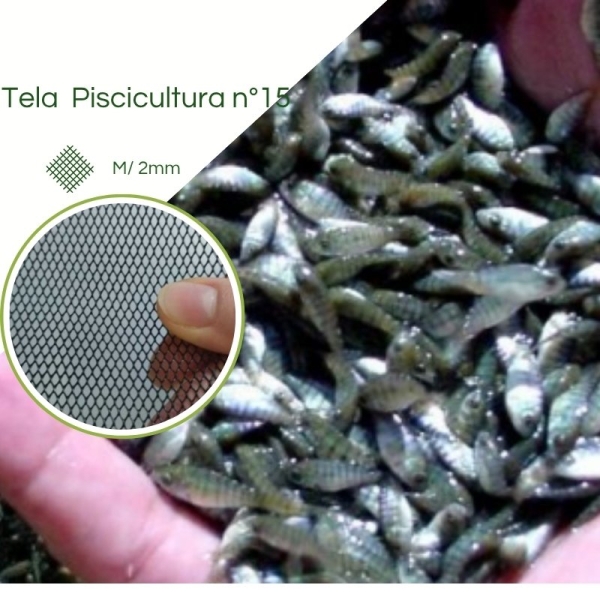 Tela Pisicultura para Criação de Alevinos n° 15