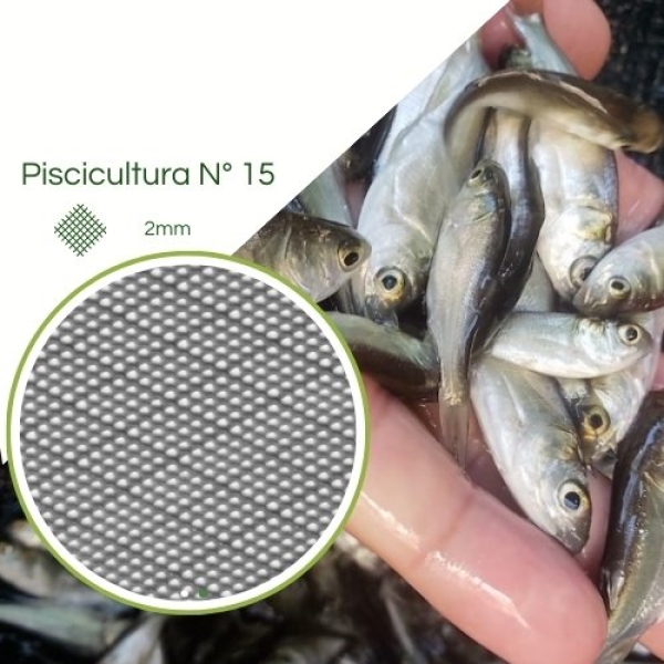 Tela Pisicultura para Criação de Alevinos n° 15