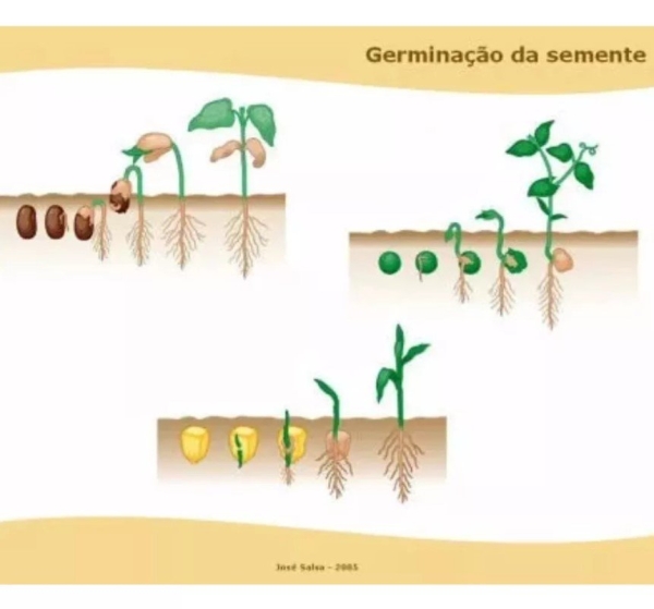 Substrato Vivatto Agricultura 25 Kg Plantação Horta