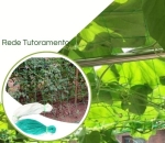 Rede Tutoramento De Planta Treliça 2x100m Pepino tomate Verde e Branco