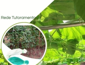 Rede Tutoramento De Planta Treliça 2x100m Pepino tomate Verde e Branco