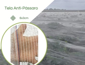 Tela Anti-passaros (6 x 3cm)