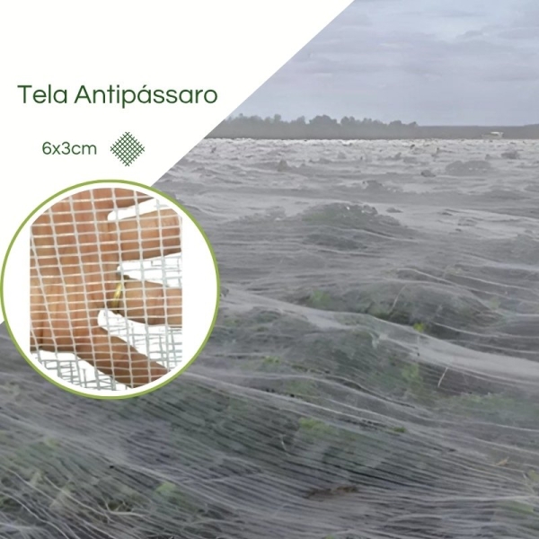 Tela Anti-passaros (6 x 3cm)