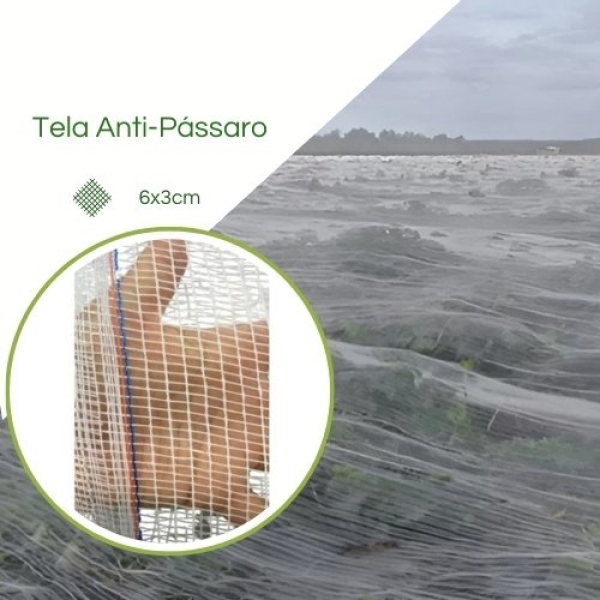Tela Anti-passaros (6 x 3cm)