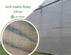 Clarite®  Baby Citrus Branca 50 Mesh