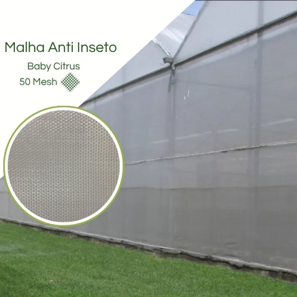 Clarite®  Baby Citrus Branca 50 Mesh