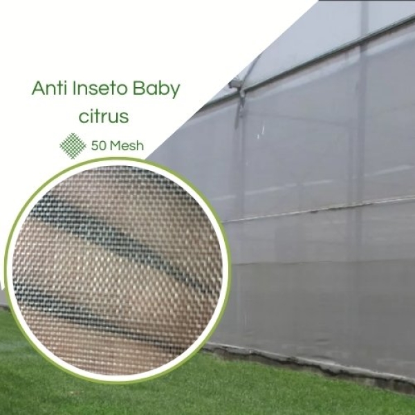 Clarite®  Baby Citrus Branca 50 Mesh