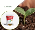 Substrato Completo Bioplant Plus 40LT
