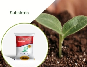 Substrato Completo Bioplant Plus 40LT