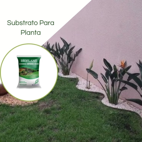 Substrato Para Gramados e Canteiros Pomar  20 kg Bioplant