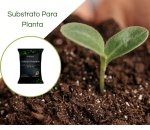 Substrato Gardem Premium 20 kg Bioplant