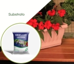 Substrato Para Vasos e Floreira 10 LT - Bioplant