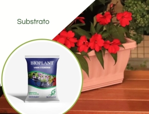 Substrato Para Vasos e Floreira 10 LT - Bioplant