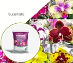 Substrato Para Orquideas 10 LT Bioplant