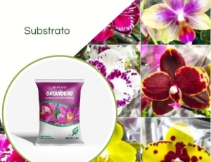 Substrato Para Orquideas 10 LT Bioplant