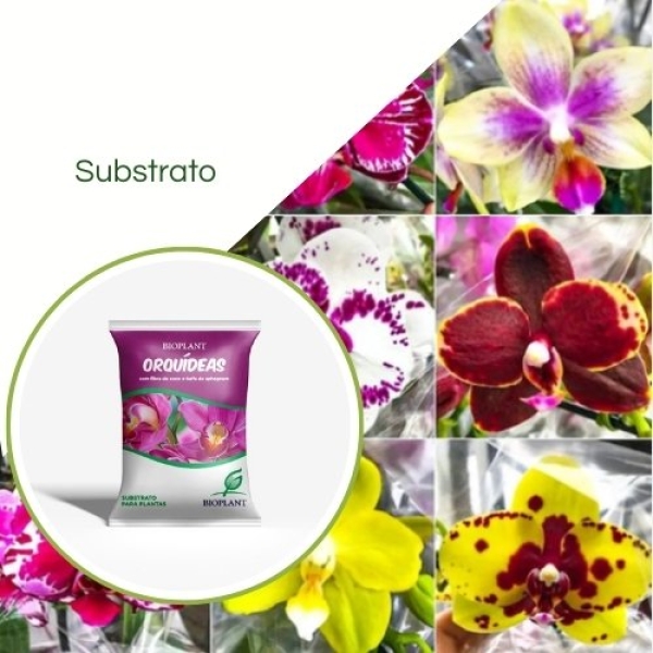 Substrato Para Orquideas 10 LT Bioplant