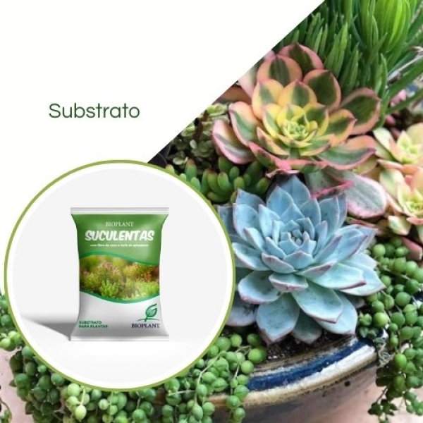 Substrato Suculentas Casca Arroz+fibra Coco 10LT Bioplant