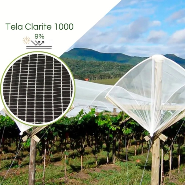 Clarite 1000 - 9% Antigranizo