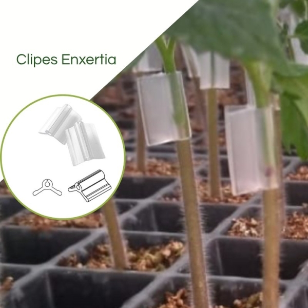 Clipes para Enxertia 2.5mm Verde - Pcte com 1.000pçs