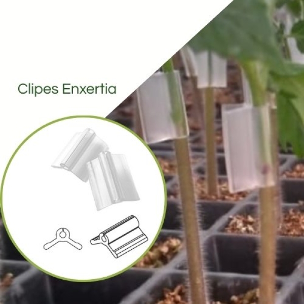 Clipes para Enxertia 2.0 Amarelo - Pcte com 1.000pçs