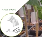 Clipes para Enxertia 1.2mm Incolor - Pcte com 1.000pçs