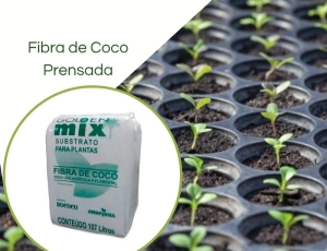Substrato Fibra de coco Golden Mix Granulado