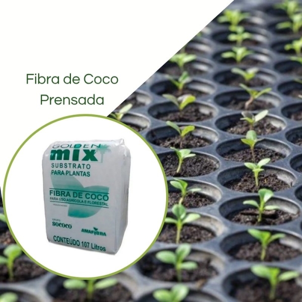 Substrato Fibra de coco Golden Mix Granulado