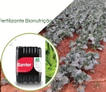 Bionutrição Barrier Calcio + Silicio