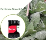 Bionutrição Barrier Calcio + Silicio