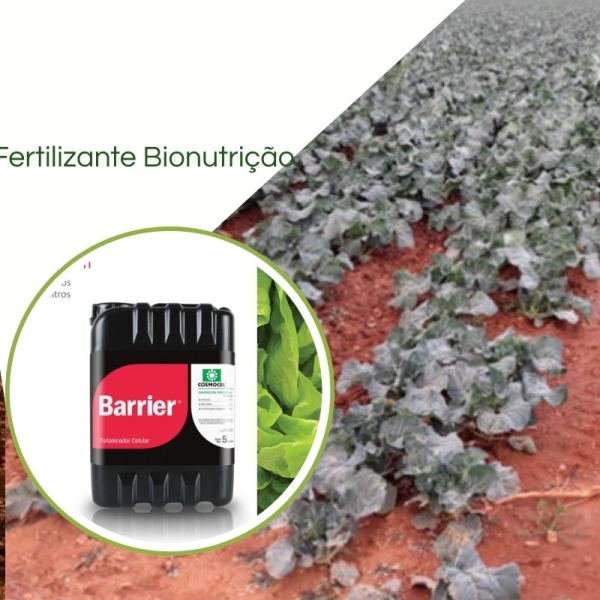 Bionutrição Barrier Calcio + Silicio