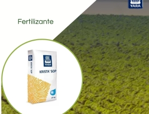 Fertilizante Sulfato De Potassio (SOP) 00.00.51 - 25 kg - Yara