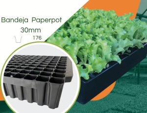 Bandeja 176  Paper Pot de 30mm - kit com 5