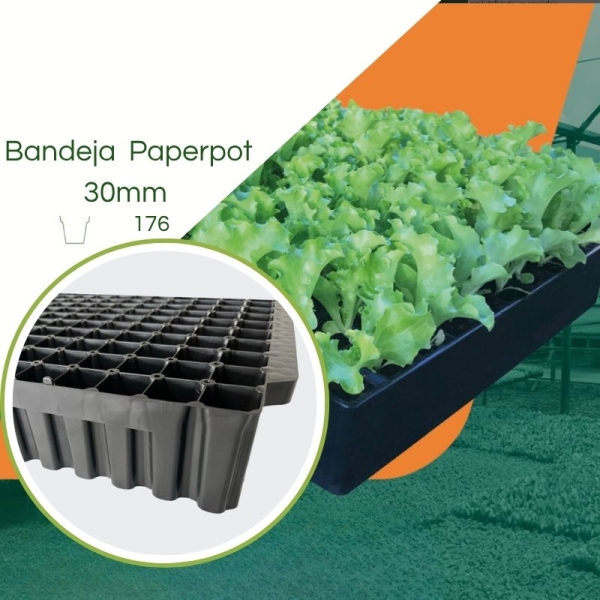 Bandeja 176  Paper Pot de 30mm - kit com 5