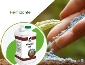 Bioativador Vitanica RZ