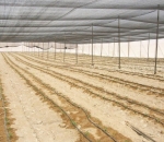 Tela Antiafídeo Preto 50 mesh - Politiv