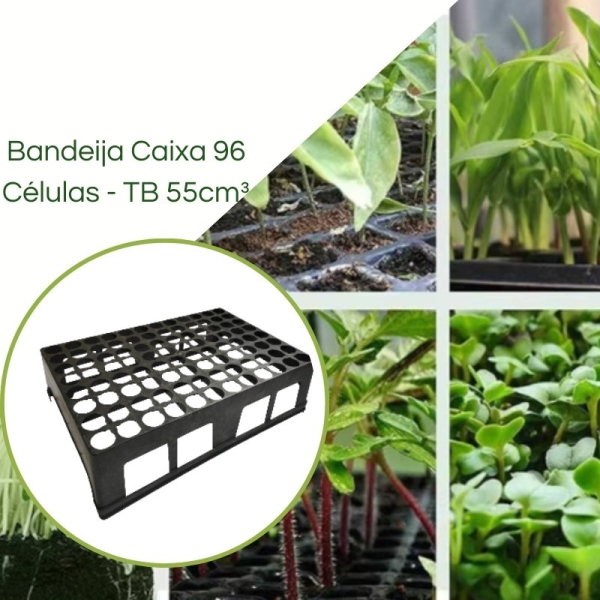  Bandeja Caixa com 96 células para TB 030/55cm