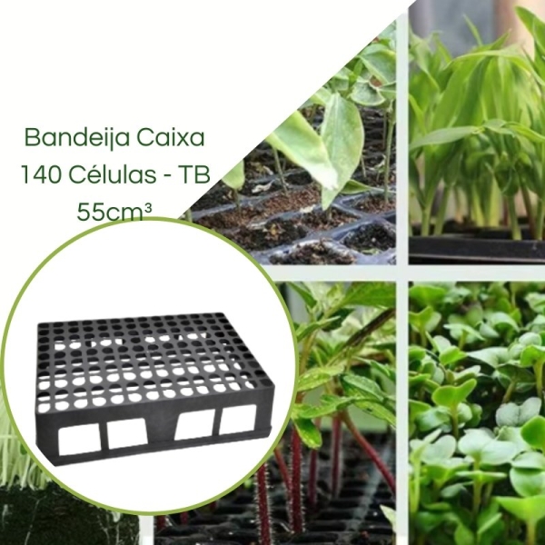 Bandeja Caixa 140 Células para TB 030/55cm