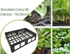 Bandeja Caixa 96 células para TB 040/100cm