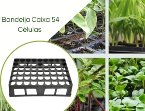 Bandeja Caixa 54 Células para TB 054/175cm