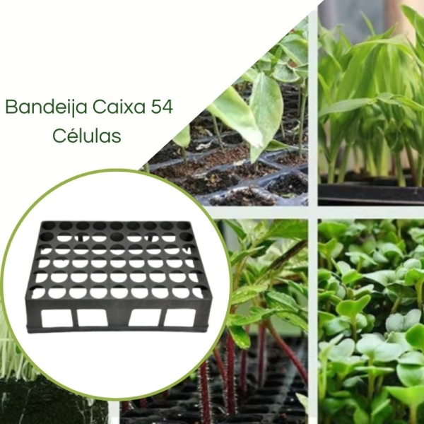 Bandeja Caixa 54 Células para TB 054/175cm