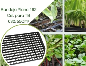 Bandeja Plana 192 Células para TB 030/55CM