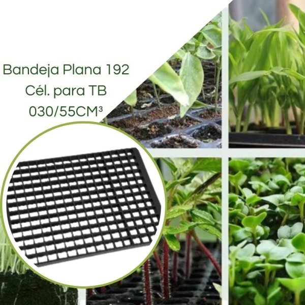 Bandeja Plana 192 Células para TB 030/55CM