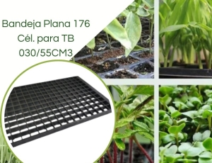 Bandeja Plana 176 Células para TB 030/55CM3