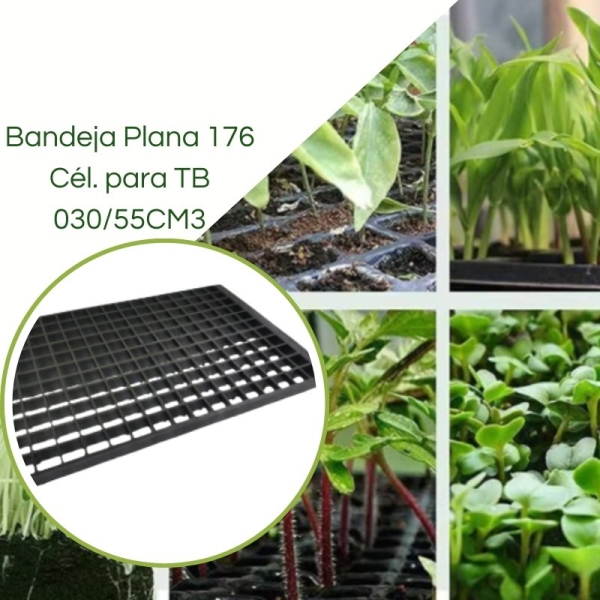 Bandeja Plana 176 Células para TB 030/55CM3