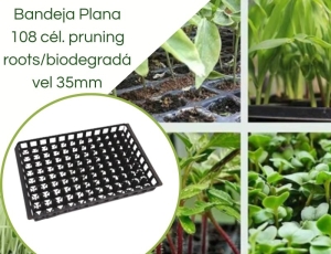 Bandeja Plana 108 células pruning roots/biodegradável 35mm