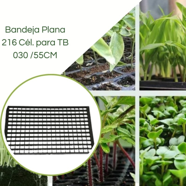 Bandeja Plana 216 Células para TB 030 /55CM